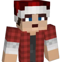TheTiDi Minecraft avatar bust