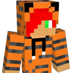 TheTiger_DK Minecraft avatar bust