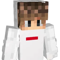 TheTornado_ Minecraft avatar bust