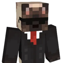 TheVibingCat