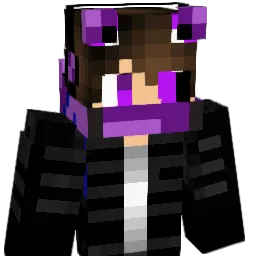 TheVoidPvP Minecraft avatar bust