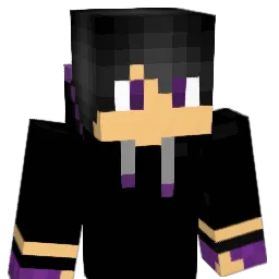 TheWinterSolger Minecraft avatar bust