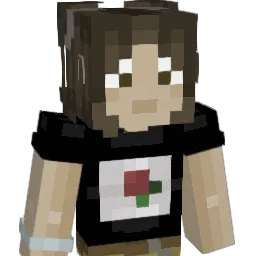 The_Bird543 Minecraft avatar bust