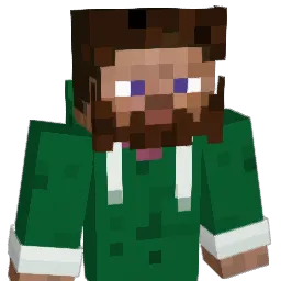The_Brin Minecraft avatar bust