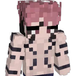 The_P_a_n_d_a's Minecraft skin