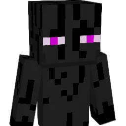 The_Paladin1 Minecraft avatar bust