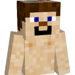 The_______ Minecraft avatar bust