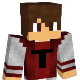The_kingTY Minecraft avatar bust