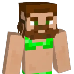 Thebiso Minecraft avatar bust