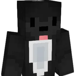Thedook123 Minecraft avatar bust