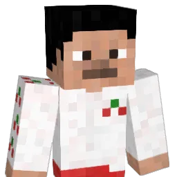 Thenoob2233 Minecraft avatar bust