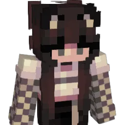 Theo2007_ Minecraft avatar bust