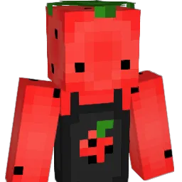 Thevsd Minecraft avatar bust