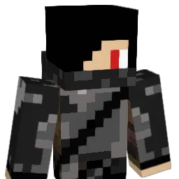 Thib_2291 Minecraft avatar bust