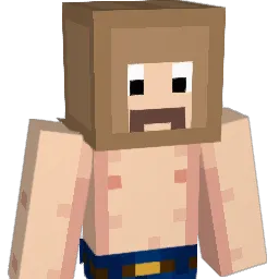 ThickLid Minecraft avatar bust
