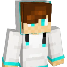 ThisHoey96 Minecraft avatar bust