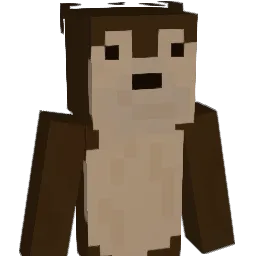 Thopki