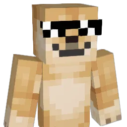 ThoroughlyRinsed Minecraft avatar bust