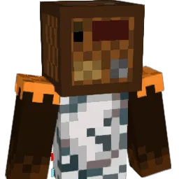 Thunder_Dash12 Minecraft avatar bust