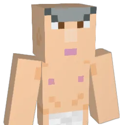 Ti1or Minecraft avatar bust