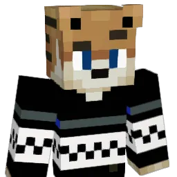 TiG_rR Minecraft avatar bust