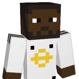 TiM0ww Minecraft avatar bust