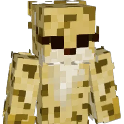 TiMiD_TvT Minecraft avatar bust