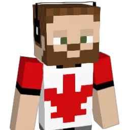 Tibb12 Minecraft avatar bust