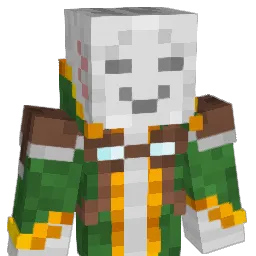 Tibb_0 Minecraft avatar bust
