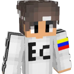 Tickets_ Minecraft avatar bust
