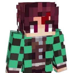 Tidooo's Minecraft skin