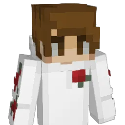 Tidymans_Carpets Minecraft avatar bust