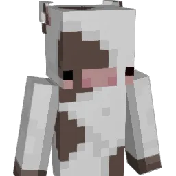 Tigercub555 Minecraft avatar bust