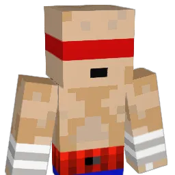 TiiGzTeR Minecraft avatar bust