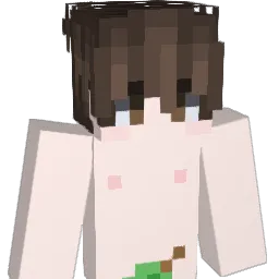 Tii_Wiwi Minecraft avatar bust
