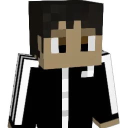 Tiintedremix's Minecraft skin