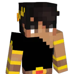 TiinyDuckling Minecraft avatar bust