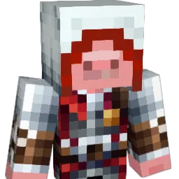 Till8811 Minecraft avatar bust