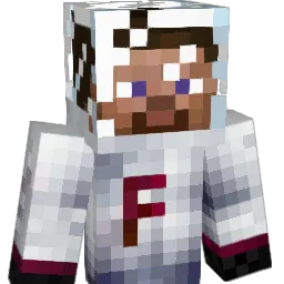 TillLindemann1 Minecraft avatar bust