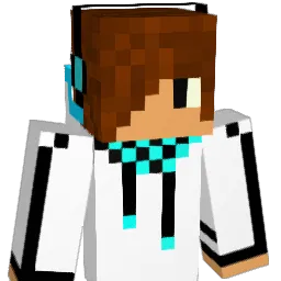 TillPlays_ Minecraft avatar bust