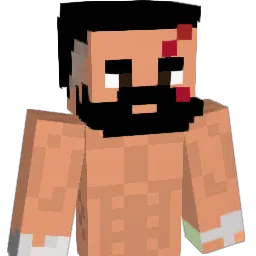 TimFlouz Minecraft avatar bust