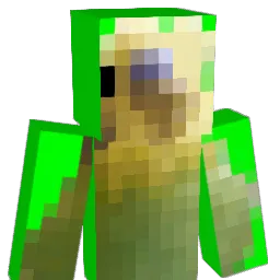 TimRushik Minecraft avatar bust