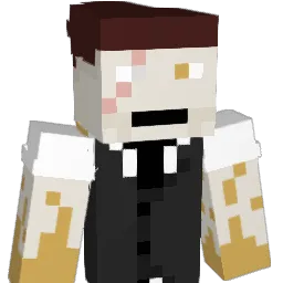 TimSev20 Minecraft avatar bust