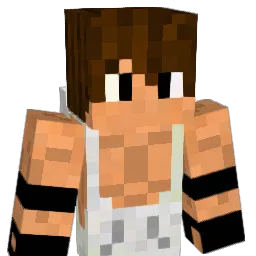 Tim_Gabel17 Minecraft avatar bust