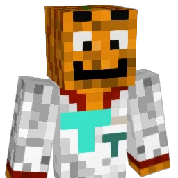 Tim_Tech_Dev's Minecraft skin