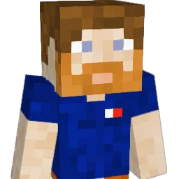 Timaru Minecraft avatar bust