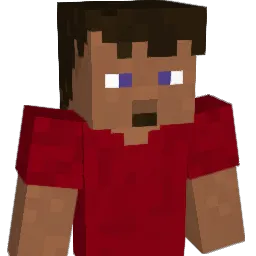 Timbo_1999 Minecraft avatar bust