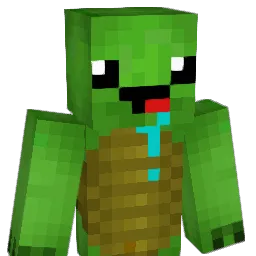 Time4Turtle