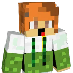 Timemachine3030 Minecraft avatar bust