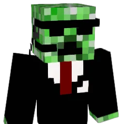 TimesOfGrace Minecraft avatar bust